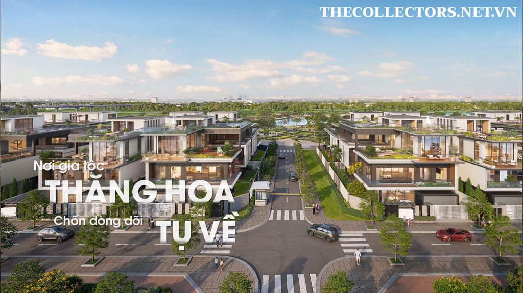 Không gian đồng bộ biệt thự The Collectors'