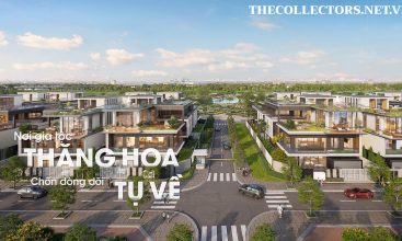 Không gian đồng bộ biệt thự The Collectors'